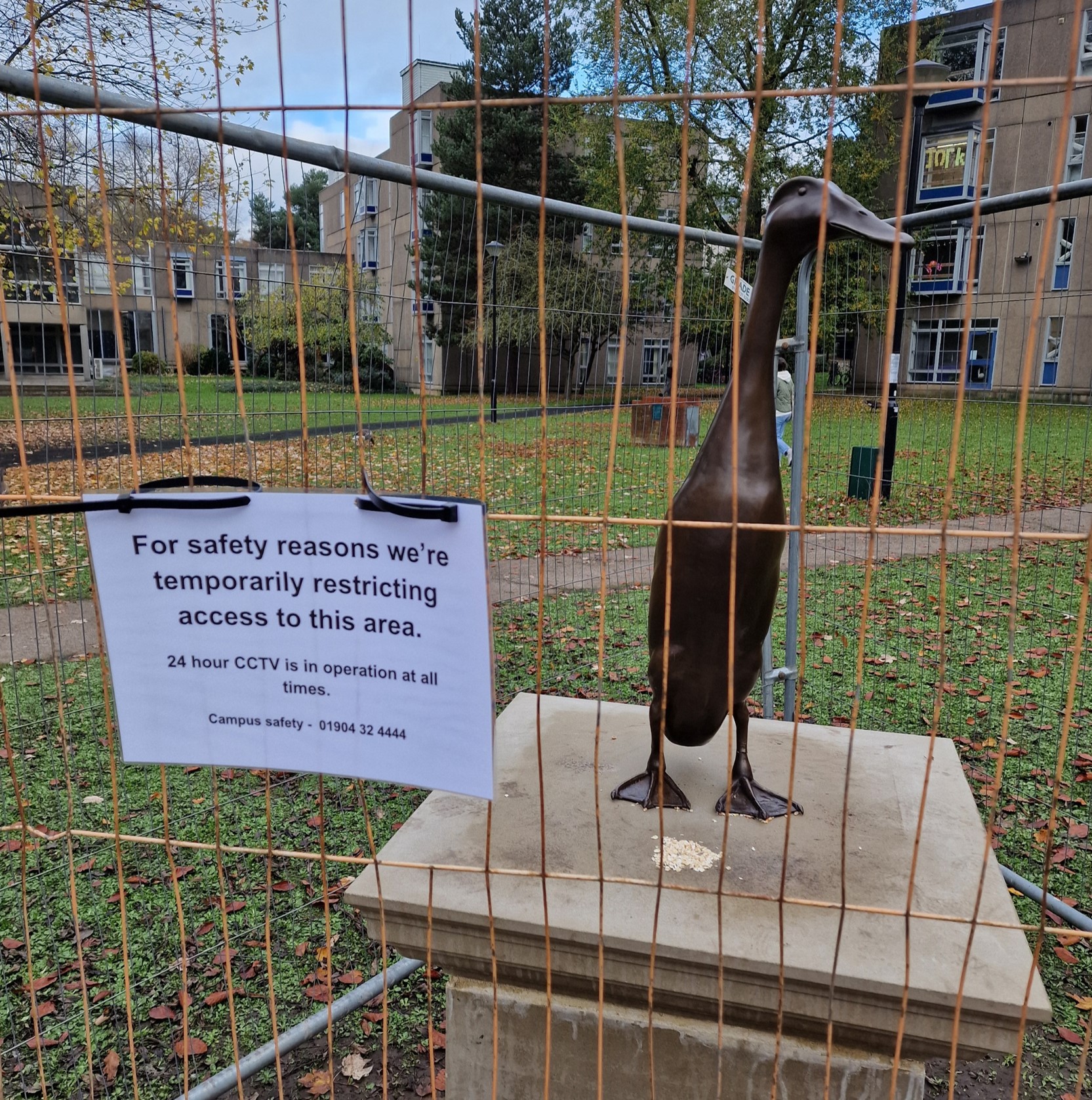 UoY Declares ’Old Testament Justice’ in Force for Long Boi Vandal